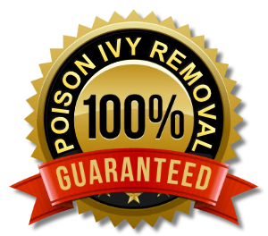 100% Poison Ivy Removal Guaranteed